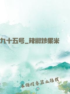 九十五号