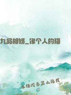 九品相婿