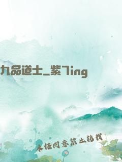 九品道士