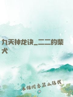 九天神龙诀