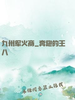 九州军火商