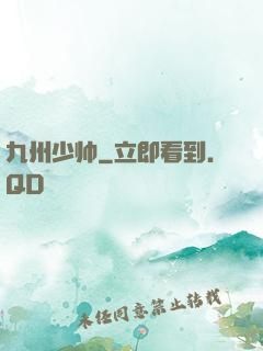 九州少帅