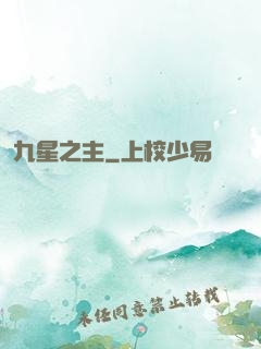 九星之主