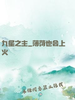 九星之主