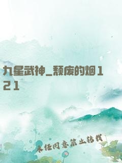 九星武神