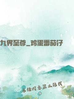九界至尊