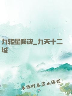 九转星陨诀
