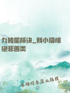 九转星陨诀