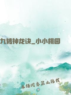九转神龙诀
