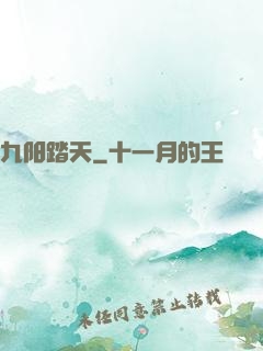 九阳踏天