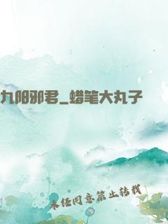 九阳邪君