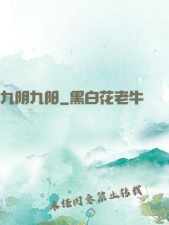九阴九阳