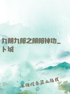 九阴九阳之阴阳神功