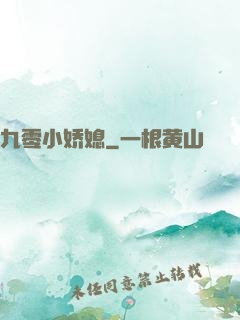 九零小娇媳