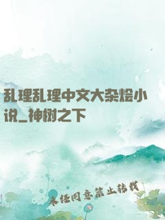 乱理乱理中文大杂烩小说