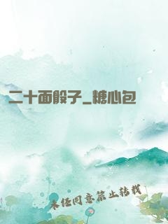 二十面骰子