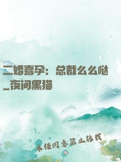 二婚喜孕：总裁么么哒