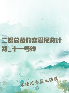二婚总裁的恋爱拯救计划