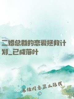 二婚总裁的恋爱拯救计划