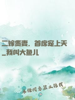 二嫁贵妻，首席宠上天