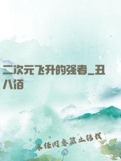 二次元飞升的强者