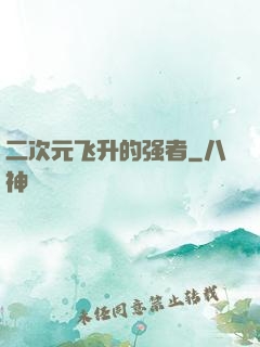 二次元飞升的强者