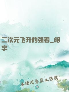 二次元飞升的强者