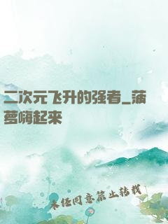 二次元飞升的强者