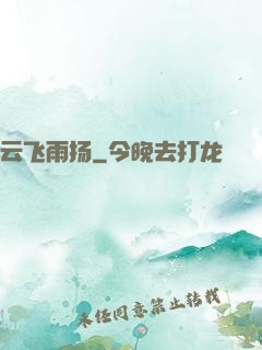 云飞雨扬