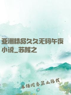亚洲精品久久无码午夜小说