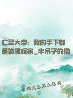 亡灵大帝：我的手下都是傻雕玩家