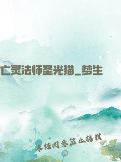 亡灵法师圣光猫