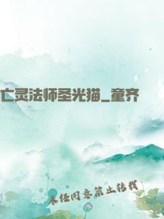 亡灵法师圣光猫