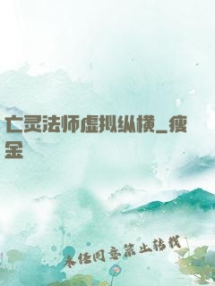 亡灵法师虚拟纵横