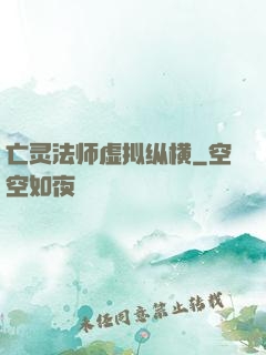 亡灵法师虚拟纵横