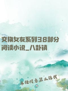 交换女友系列38部分阅读小说