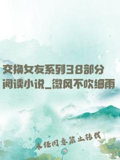 交换女友系列38部分阅读小说