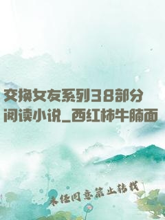 交换女友系列38部分阅读小说
