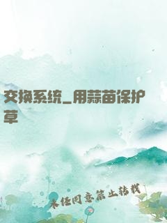 交换系统