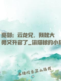 亮剑：云龙兄，我魏大勇又升官了