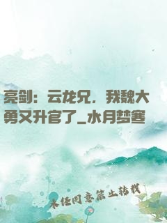 亮剑：云龙兄，我魏大勇又升官了
