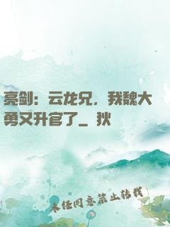 亮剑：云龙兄，我魏大勇又升官了