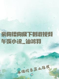 亲胸揉胸膜下刺激视频午夜小说