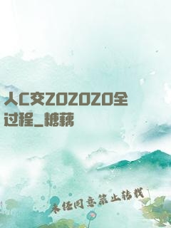 人C交ZOZOZO全过程