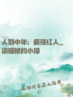 人到中年：最强红人