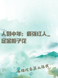 人到中年：最强红人
