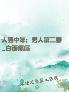 人到中年：男人第二春