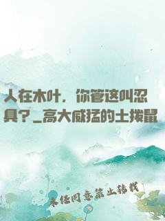 人在木叶，你管这叫忍具？