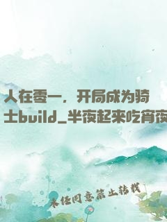 人在零一，开局成为骑士build