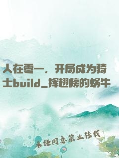 人在零一，开局成为骑士build